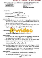 Đề thi Học sinh giỏi cấp tỉnh môn Toán Lớp 11 - Năm học 2020-2021 - Sở giáo dục và đào tạo Quảng Ngãi